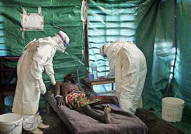 حيرة بين العلماء حول فيروس «الإيبولا» بعد ظهور حالات جديدة بأفريقيا

        ::  :: نسخة الموبايل